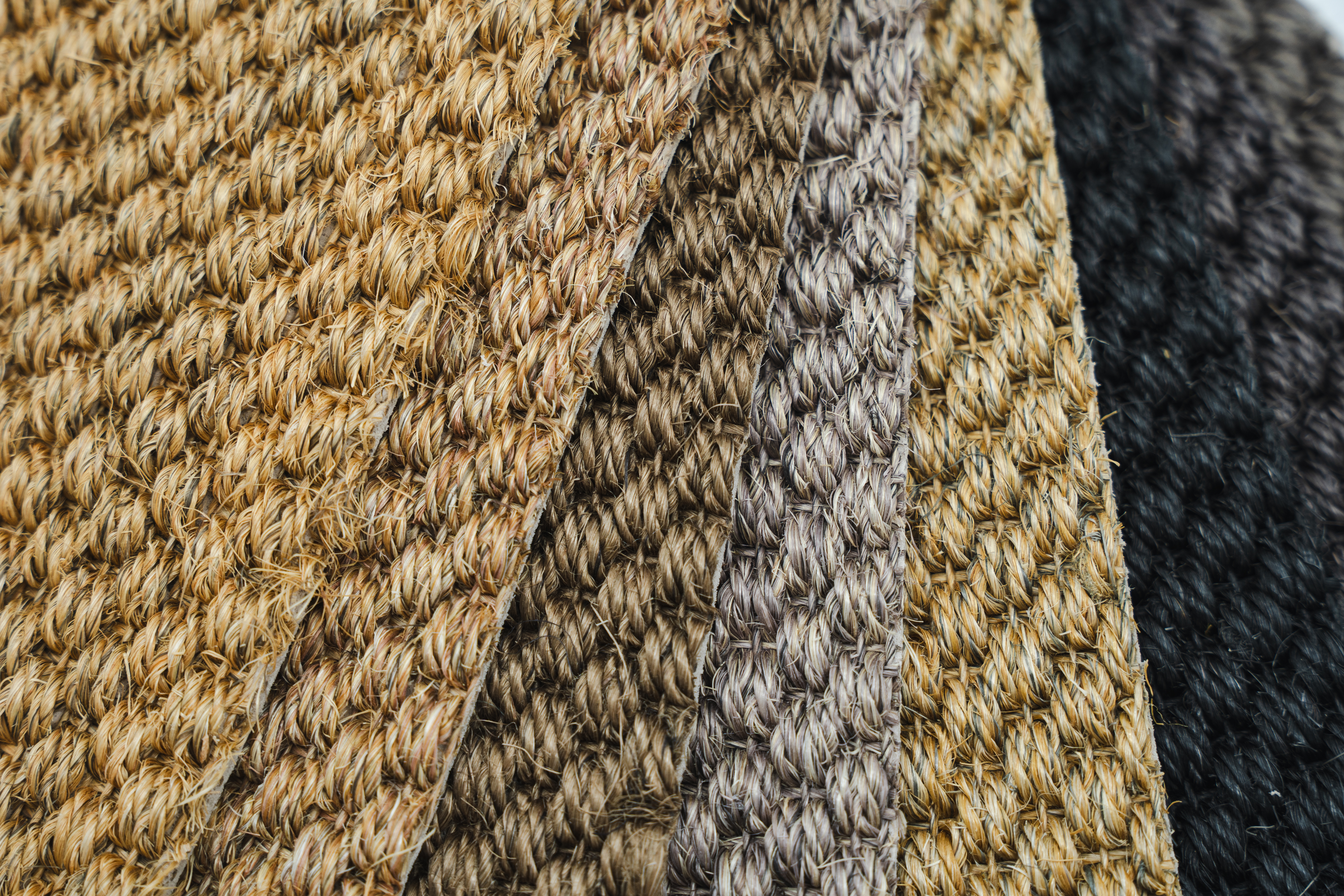 SISAL HAMPA
